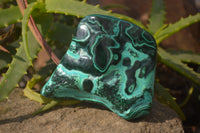 Polished Malachite Free Forms x 3 From Kolwezi, Congo - Toprock Gemstones and Minerals 