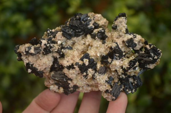 Natural Schorl Black Tourmaline Specimens x 2 From Erongo, Namibia - Toprock Gemstones and Minerals 
