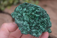 Natural Chatoyant Silky Malachite Specimens  x 4 From Kasompe, Congo - Toprock Gemstones and Minerals 