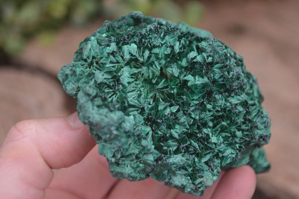 Natural Chatoyant Silky Malachite Specimens  x 4 From Kasompe, Congo - Toprock Gemstones and Minerals 