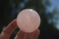 Polished Star Rose Quartz Spheres x 6 From Ambatondrazaka, Madagascar - TopRock