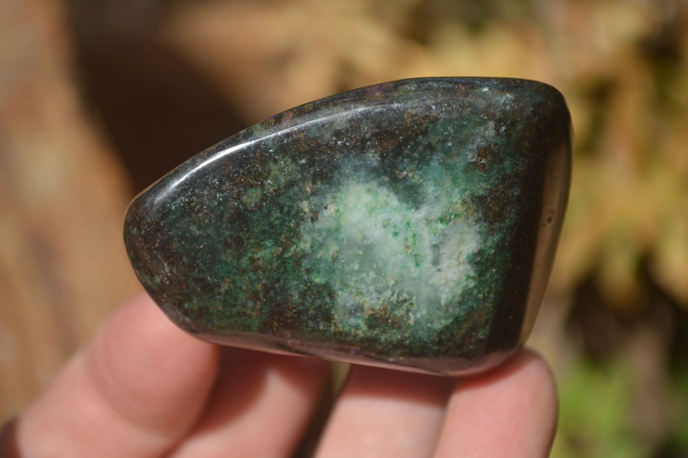 Polished Fluorescent Ruby Corundum In Chrome Verdite Free Forms x 5 From Mazoe, Zimbabwe - Toprock Gemstones and Minerals 