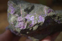 Natural Rough Stichtite & Serpentine Specimens x 4 From Barberton, South Africa - Toprock Gemstones and Minerals 