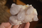 Natural Pale Lilac Spirit Quartz Clusters x 6 From Boekenhouthoek, South Africa - Toprock Gemstones and Minerals 
