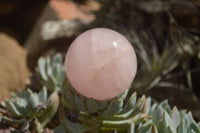 Polished Star Rose Quartz Spheres x 6 From Ambatondrazaka, Madagascar - TopRock