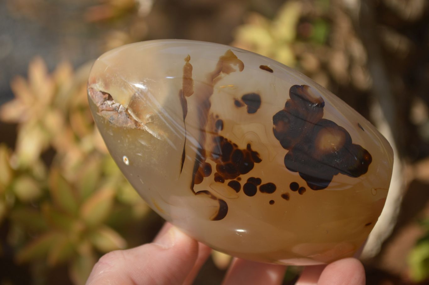 Polished Dendritic Agate Standing Free Forms  x 6 From Moralambo, Madagascar - Toprock Gemstones and Minerals 
