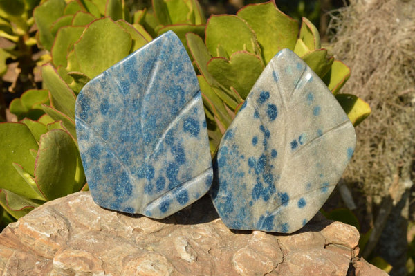 Polished Blue Spotted Spinel Quartz Leaf Sculptures  x 2 From Madagascar - TopRock