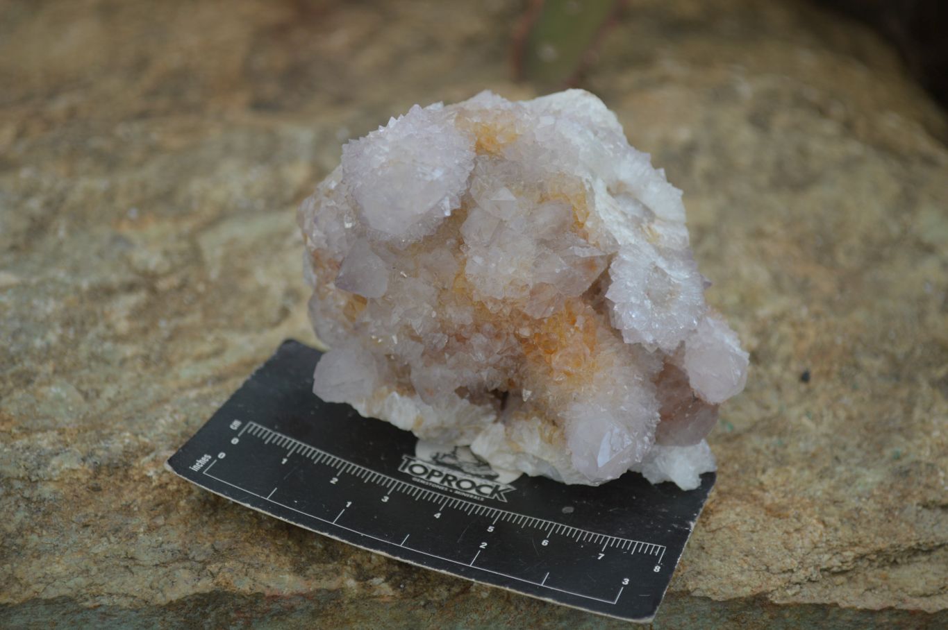 Natural Mixed Spirit Quartz Clusters x 4 From Boekenhouthoek, South Africa - Toprock Gemstones and Minerals 