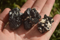 Natural Schorl Black Tourmaline Specimens x 13 From Erongo, Namibia - Toprock Gemstones and Minerals 