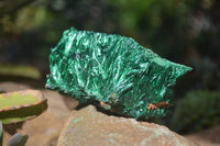 Natural Chatoyant Silky Malachite Specimens  x 4 From Kasompe, Congo - Toprock Gemstones and Minerals 