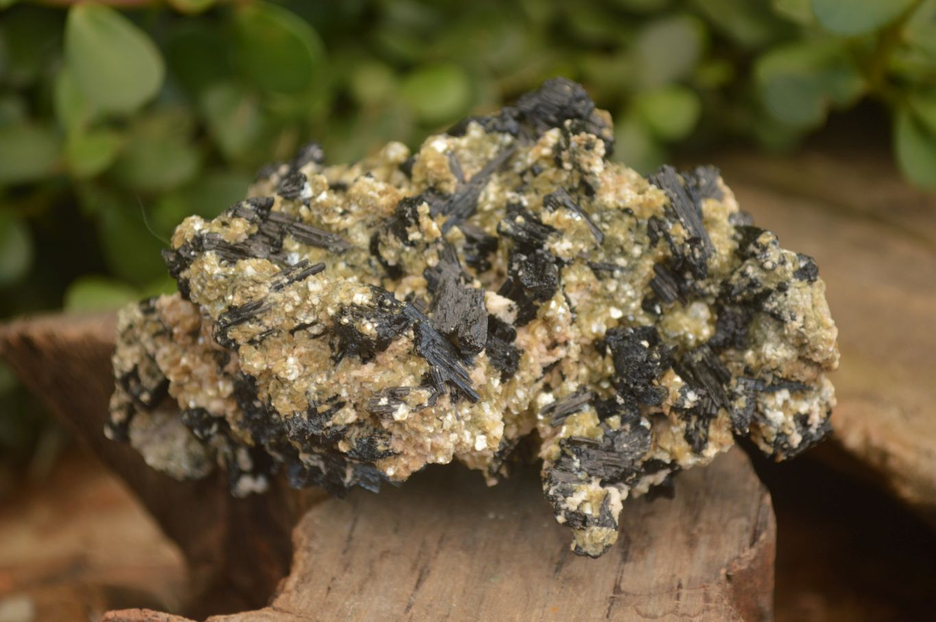 Natural Schorl Black Tourmaline Specimens x 2 From Erongo, Namibia - Toprock Gemstones and Minerals 