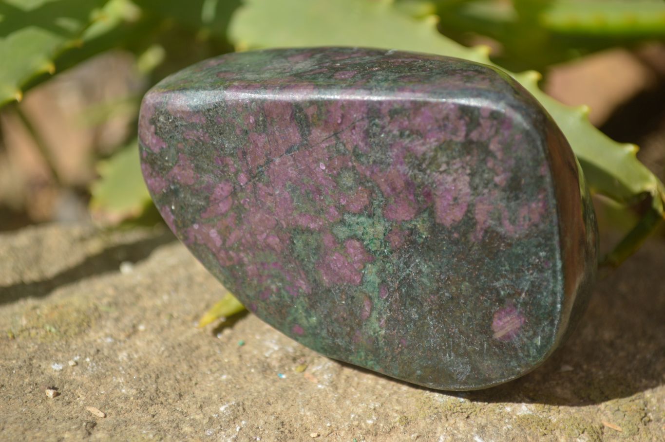Polished Fluorescent Ruby Corundum In Chrome Verdite Free Forms x 5 From Mazoe, Zimbabwe - Toprock Gemstones and Minerals 