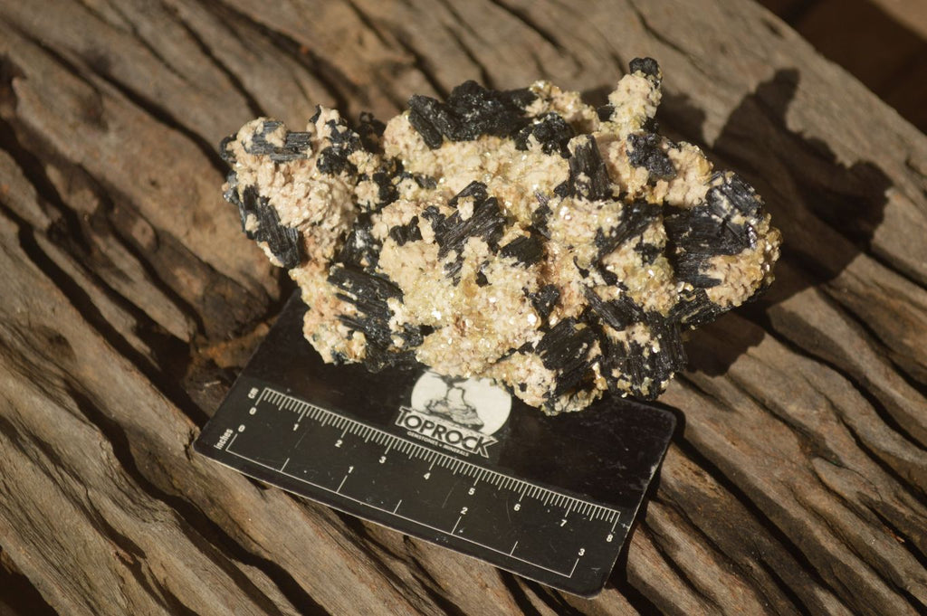 Natural Schorl Black Tourmaline Specimens x 2 From Erongo, Namibia - Toprock Gemstones and Minerals 