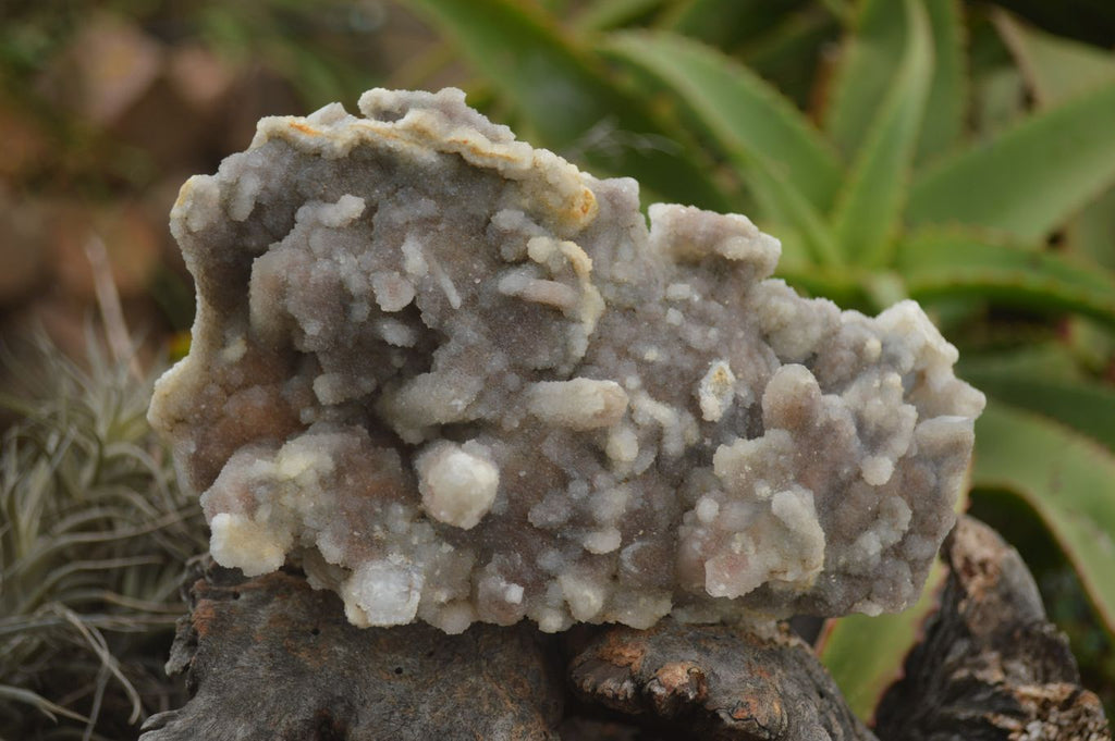 Natural Lovely Spirit Quartz Clusters  x 2 From Boekenhouthoek, South Africa - TopRock