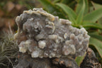 Natural Lovely Spirit Quartz Clusters  x 2 From Boekenhouthoek, South Africa - TopRock