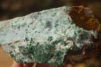 Natural Drusy Coated Chrysocolla & Malachite Dolomite Specimens x 3 From Likasi, Congo - Toprock Gemstones and Minerals 