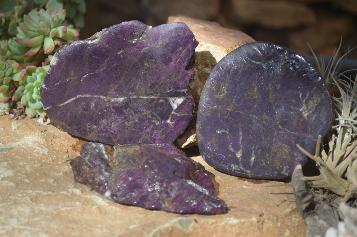 Polished One Side Polished Purpurite Free Forms x 3 From Erongo, Namibia - Toprock Gemstones and Minerals 