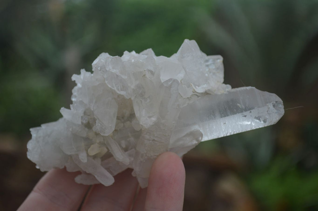 Natural Clear Quartz Specimens  x 6 From Mpika, Zambia - Toprock Gemstones and Minerals 