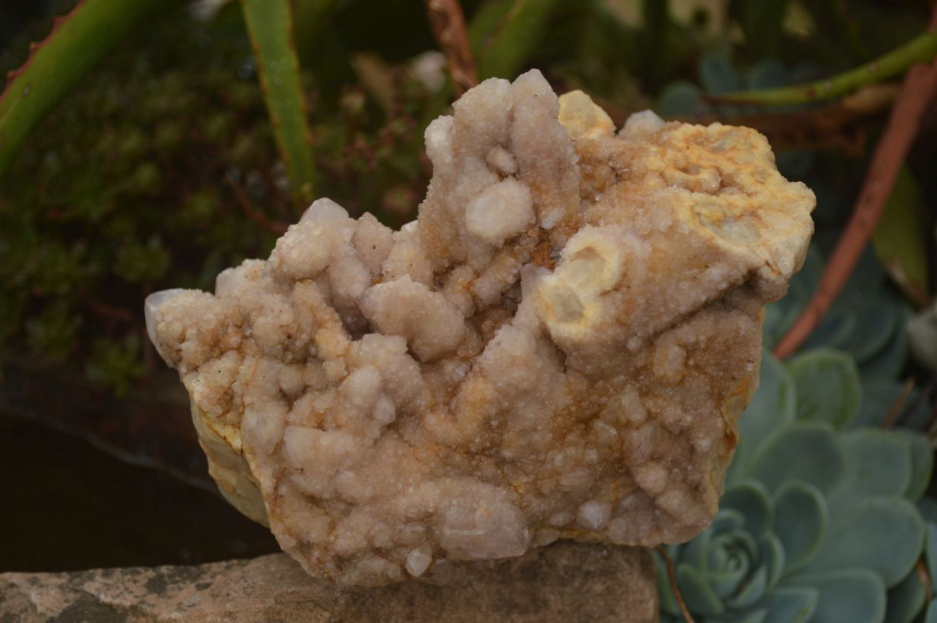 Natural Lovely Spirit Quartz Clusters  x 2 From Boekenhouthoek, South Africa - TopRock