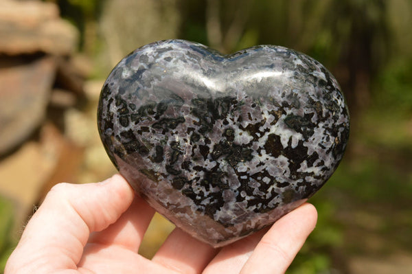 Polished Extra Large Merlinite / Gabbro Hearts x 3 From Madagascar - TopRock