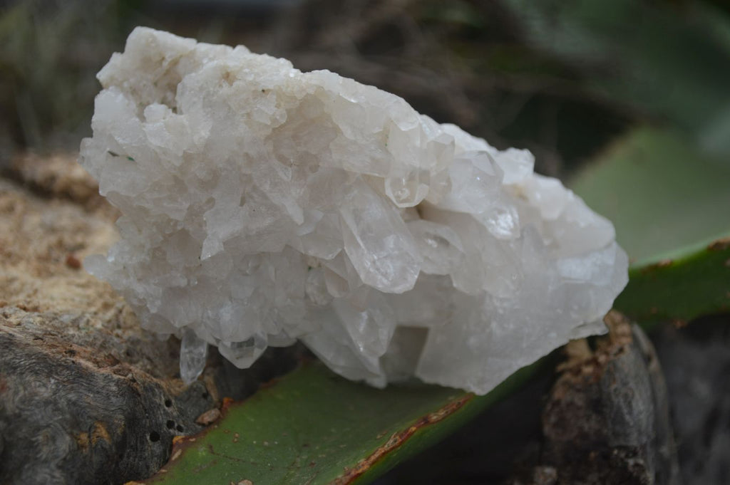 Natural Clear Quartz Specimens  x 6 From Mpika, Zambia - Toprock Gemstones and Minerals 