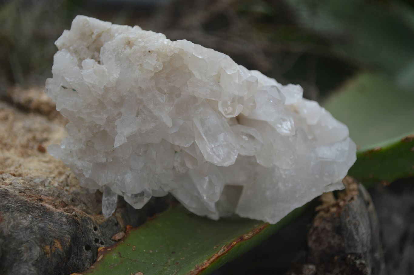 Natural Clear Quartz Specimens  x 6 From Mpika, Zambia - Toprock Gemstones and Minerals 