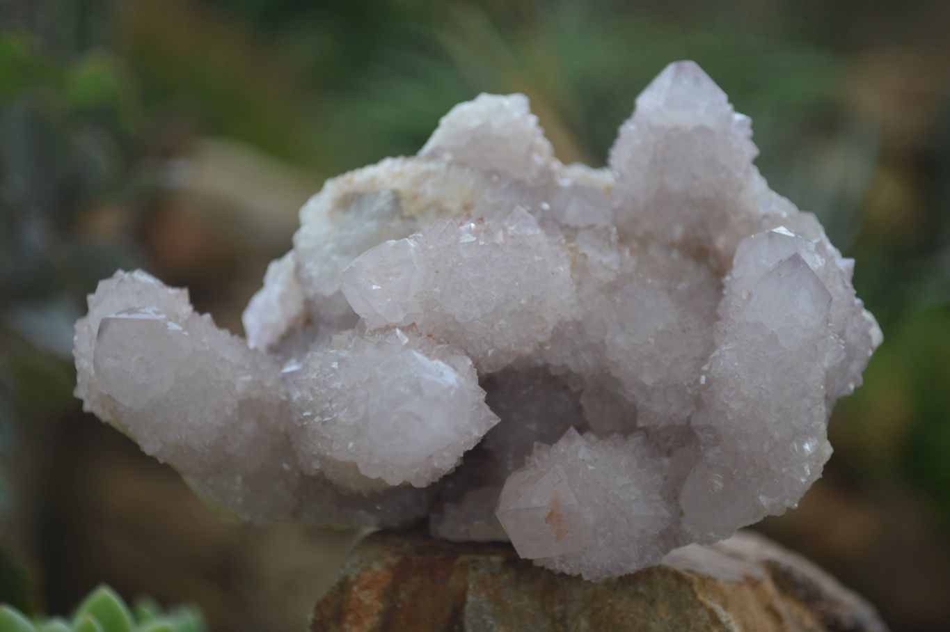 Natural Mixed Spirit Quartz Clusters x 4 From Boekenhouthoek, South Africa - Toprock Gemstones and Minerals 