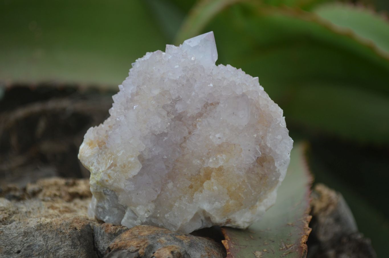 Natural Mixed Spirit Quartz Clusters x 4 From Boekenhouthoek, South Africa - Toprock Gemstones and Minerals 