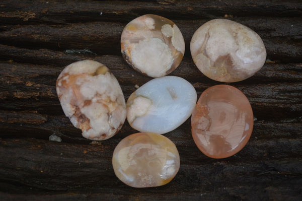Polished Mini Ocean  Flower Agate Palm Stones  x 35 From Madagascar - Toprock Gemstones and Minerals 