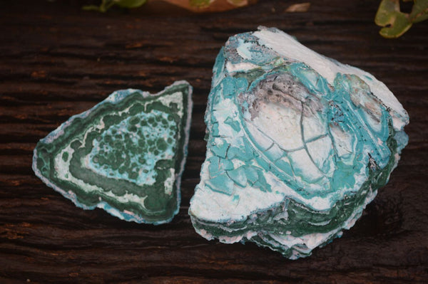Natural Blue Chrysocolla On Silky Malachite Matrix Specimens x 2 From Kulukuluku, Congo - Toprock Gemstones and Minerals 