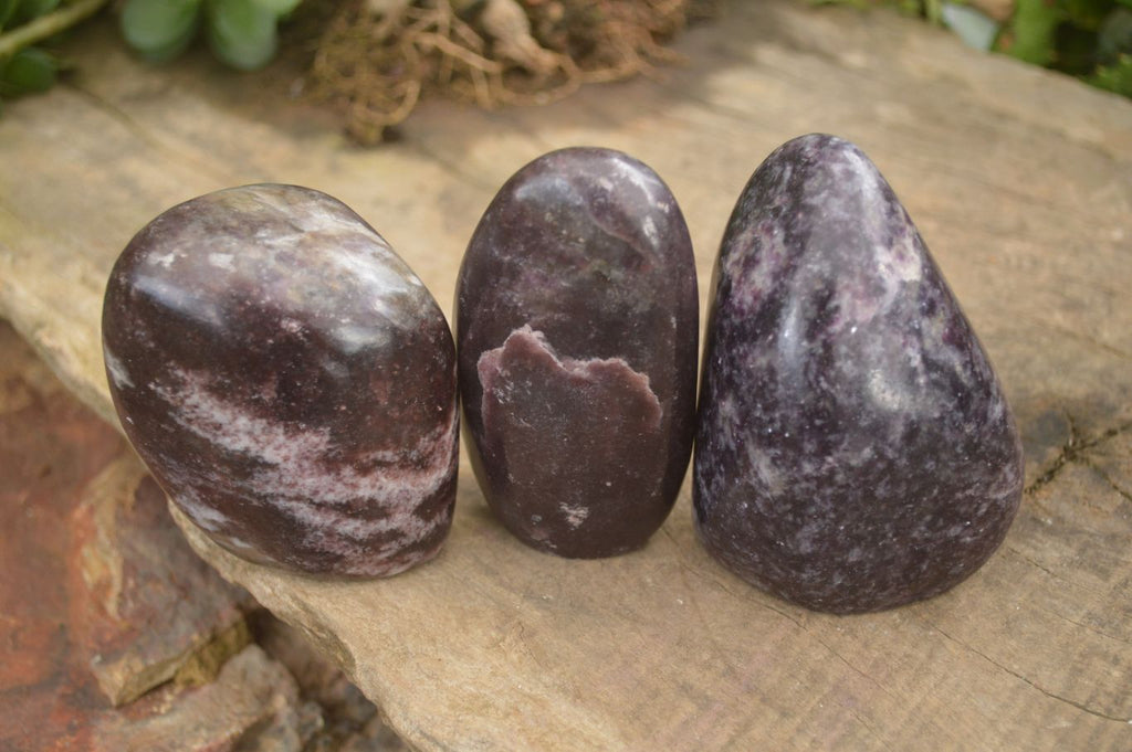 Polished Purple Lepidolite Standing Free Forms  x 6 From Zimbabwe - Toprock Gemstones and Minerals 