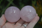 Polished Gemmy Pink Rose Quartz Spheres  x 6 From Madagascar - Toprock Gemstones and Minerals 