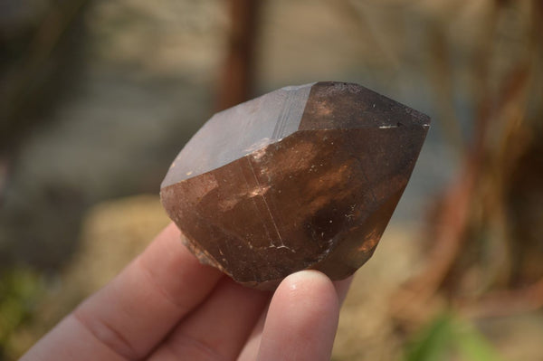 Natural Smokey Quartz Crystals x 6 From Zomba, Malawi - Toprock Gemstones and Minerals 