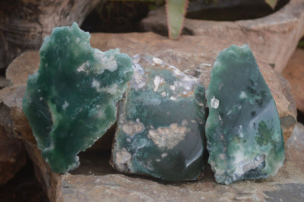 Polished One Side Polished Emerald Mtorolite Plates  x 3 From Mutorashanga, Zimbabwe - Toprock Gemstones and Minerals 