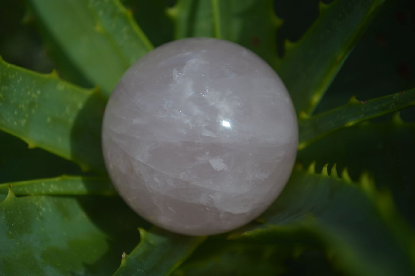 Polished Gemmy Pink Rose Quartz Spheres  x 6 From Madagascar - Toprock Gemstones and Minerals 