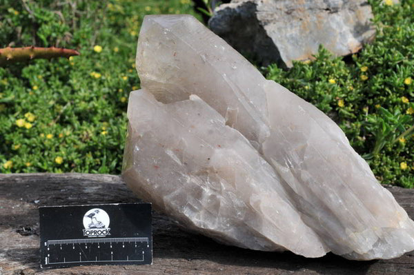 Natural Large Angolan Arcadian Quartz Cluster x 1 From Angola - TopRock