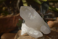 Natural Mixed Selection Of Quartz Crystals  x 7 From Madagascar - Toprock Gemstones and Minerals 