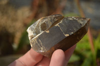 Natural Smokey Quartz Crystals x 6 From Zomba, Malawi - Toprock Gemstones and Minerals 