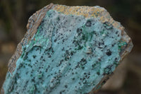 Natural Drusy Coated Chrysocolla & Malachite Dolomite Specimens x 3 From Likasi, Congo - Toprock Gemstones and Minerals 