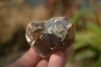 Natural Smokey Quartz Crystals x 6 From Zomba, Malawi - Toprock Gemstones and Minerals 