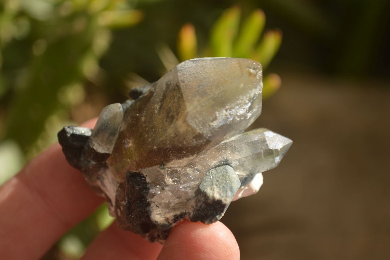 Natural Schorl Black Tourmaline Specimens x 13 From Erongo, Namibia - Toprock Gemstones and Minerals 