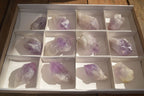 Natural Single Jacaranda Amethyst Crystals x 12 From Mumbwe, Zambia - Toprock Gemstones and Minerals 