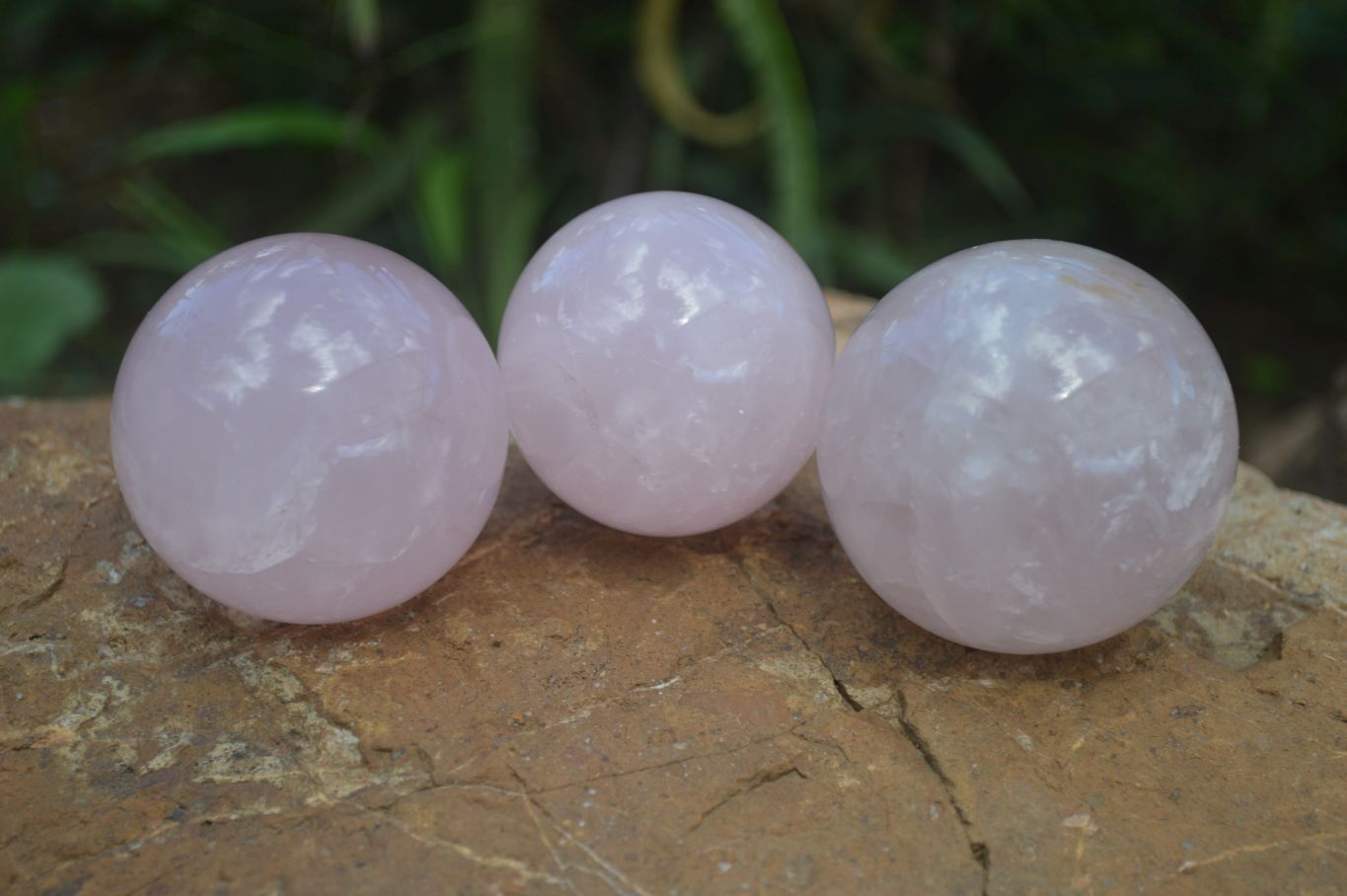 Polished Gemmy Pink Rose Quartz Spheres  x 6 From Madagascar - Toprock Gemstones and Minerals 