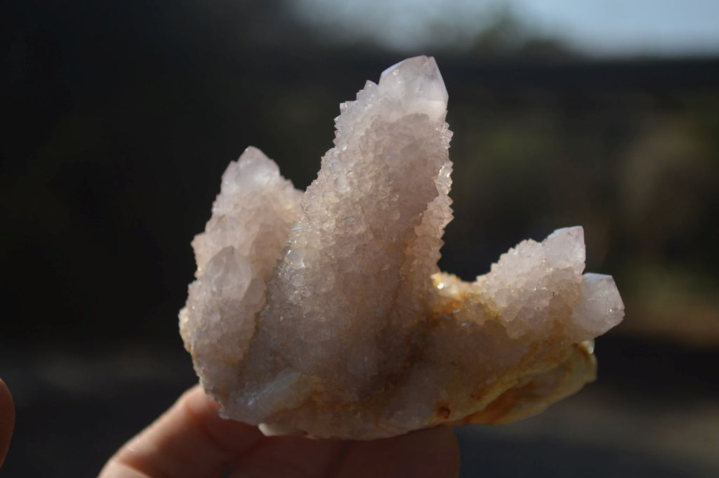 Natural Pale Lilac Spirit Quartz Clusters x 6 From Boekenhouthoek, South Africa - Toprock Gemstones and Minerals 