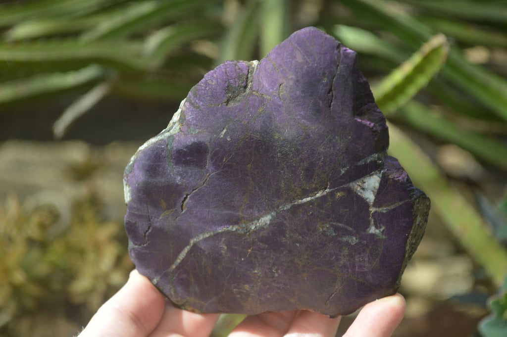Polished One Side Polished Purpurite Free Forms x 3 From Erongo, Namibia - Toprock Gemstones and Minerals 