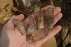 Natural Red Hematoid Quartz Crystals x 35 From Karoi, Zimbabwe - Toprock Gemstones and Minerals 