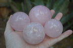 Polished Gemmy Pink Rose Quartz Spheres  x 6 From Madagascar - Toprock Gemstones and Minerals 