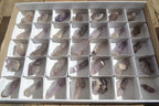 Natural Skeletal Amethyst Crystals  x 35 From Chiredzi, Zimbabwe - Toprock Gemstones and Minerals 