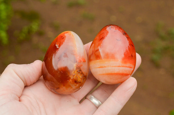 Polished Bright Orange and Darker Red Carnelian Agate Eggs  x 12 From Madagascar - TopRock