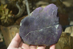 Polished One Side Polished Purpurite Free Forms x 3 From Erongo, Namibia - Toprock Gemstones and Minerals 